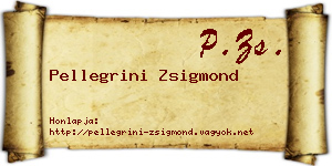 Pellegrini Zsigmond névjegykártya